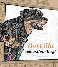 IloWillan sivuille