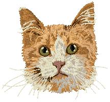 Kissa