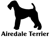 Kuvaus: C:\Users\Satu-Ilona\Documents\Ilowilla 2011\profiilipaidat\koirat_ac\airedaleterrier.jpg