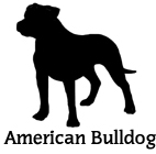 Kuvaus: C:\Users\Satu-Ilona\Documents\Ilowilla 2011\profiilipaidat\koirat_ac\americanbulldog.jpg