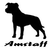 Kuvaus: C:\Users\Satu-Ilona\Documents\Ilowilla 2011\profiilipaidat\koirat_ac\amstaff2.jpg