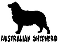 Kuvaus: C:\Users\Satu-Ilona\Documents\Ilowilla 2011\profiilipaidat\koirat_ac\australian_shepherd.jpg