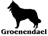 Kuvaus: C:\Users\Satu-Ilona\Documents\Ilowilla 2011\profiilipaidat\koirat_ac\belgi_gro.jpg