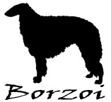 Kuvaus: C:\Users\Satu-Ilona\Documents\Ilowilla 2011\profiilipaidat\koirat_ac\borzoi.jpg