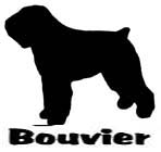 Kuvaus: C:\Users\Satu-Ilona\Documents\Ilowilla 2011\profiilipaidat\koirat_ac\bouvier_th.jpg