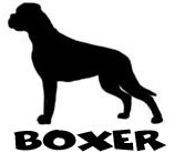 Kuvaus: C:\Users\Satu-Ilona\Documents\Ilowilla 2011\profiilipaidat\koirat_ac\boxer_ph2.jpg