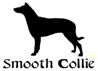 Kuvaus: C:\Users\Satu-Ilona\Documents\Ilowilla 2011\profiilipaidat\koirat_ac\collie_smooth2.jpg