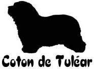 Kuvaus: C:\Users\Satu-Ilona\Documents\Ilowilla 2011\profiilipaidat\koirat_ac\cotondetulear.jpg