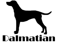 Kuvaus: C:\Users\Satu-Ilona\Documents\Ilowilla 2011\profiilipaidat\koirat_df\dalmatian.jpg