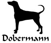 Kuvaus: C:\Users\Satu-Ilona\Documents\Ilowilla 2011\profiilipaidat\koirat_df\dobermann.jpg