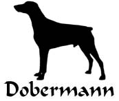 Kuvaus: C:\Users\Satu-Ilona\Documents\Ilowilla 2011\profiilipaidat\koirat_df\dobermann_th.jpg