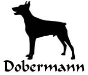 Kuvaus: C:\Users\Satu-Ilona\Documents\Ilowilla 2011\profiilipaidat\koirat_df\dobermann_typ.jpg