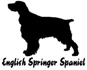 Kuvaus: C:\Users\Satu-Ilona\Documents\Ilowilla 2011\profiilipaidat\koirat_df\english_springerspaniel_th.jpg