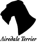 Kuvaus: C:\Users\Satu-Ilona\Documents\Ilowilla 2011\profiilipaidat\uudet 2012\airedale head.jpg